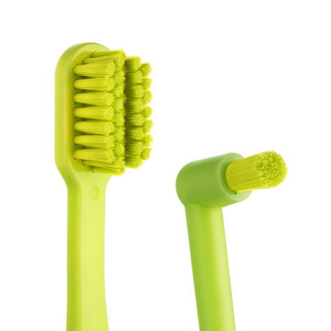 Ортонабор Revyline Dental Kit в пенале, размер S, салатовый и по всей Армении в интернет-магазине Revyline.am